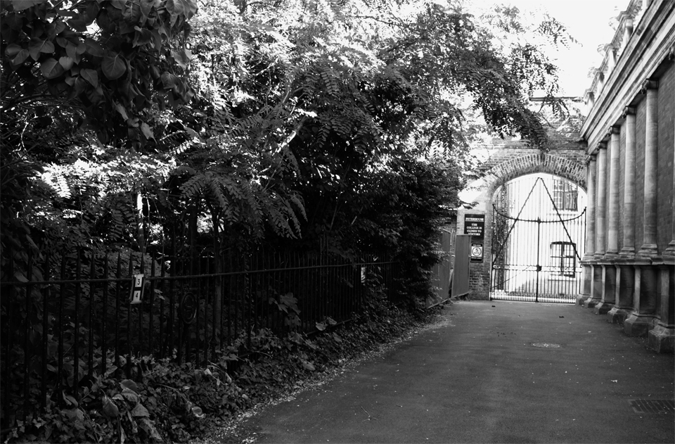 creepy alleyway with triangular gate