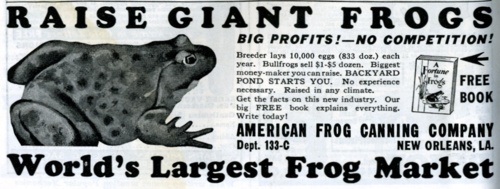 Raise Giant Frogs! Vintage ad for the American Frog Canning Company