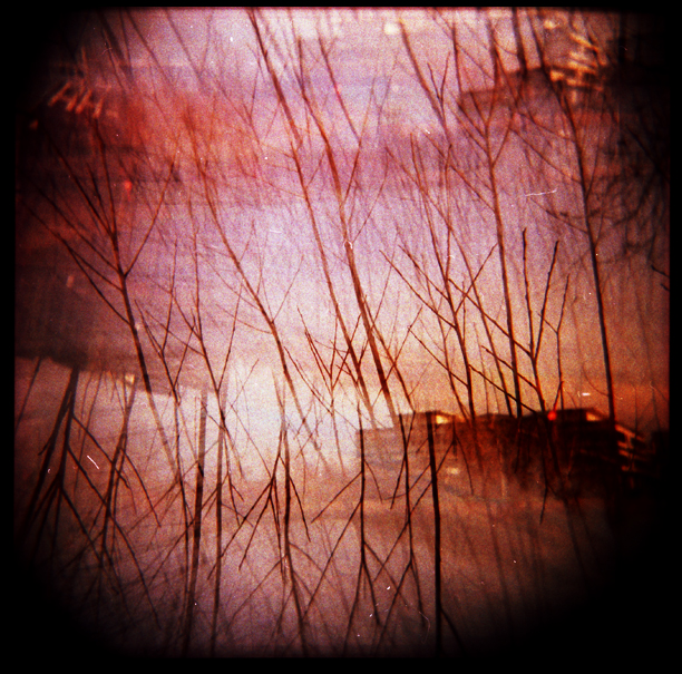Forgotten Holgas