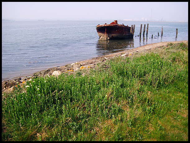 shoreline with abandoned boat