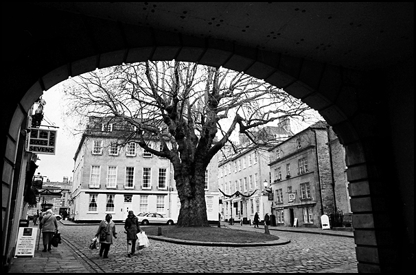 archway with tree
