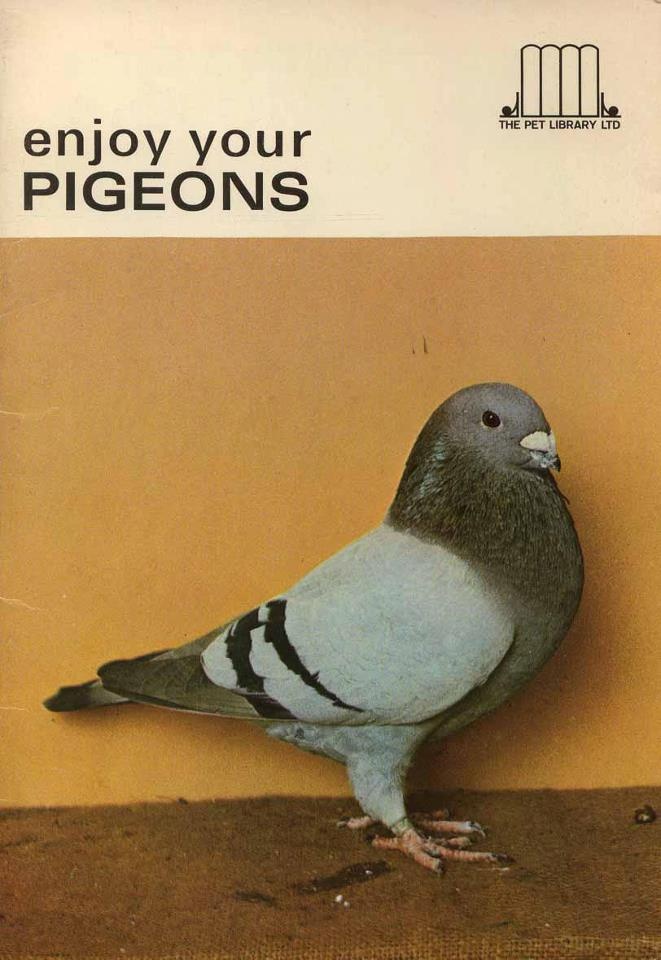 enjoy your pigeons book