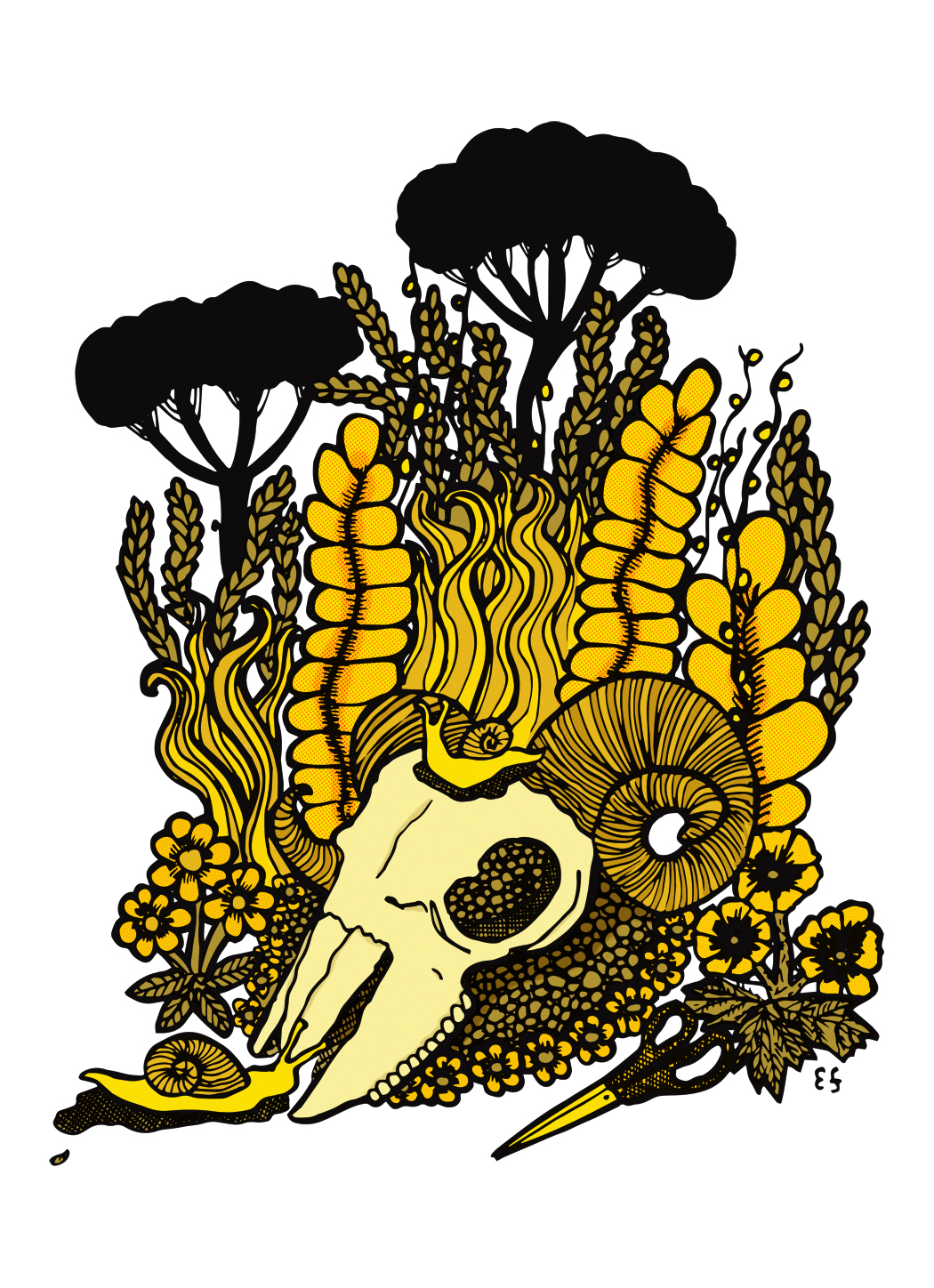 illustration of sheep skull and plants