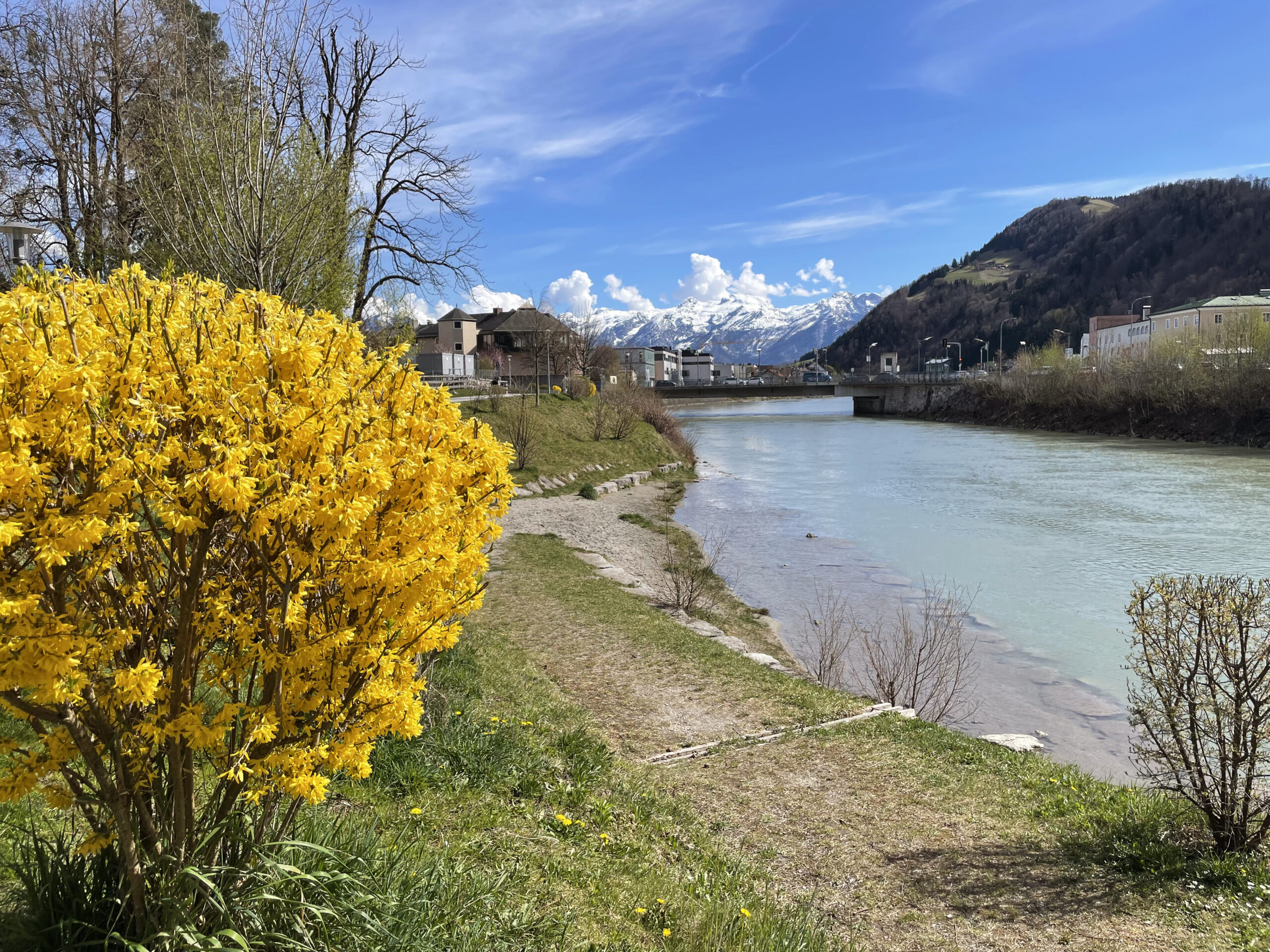 Hallein